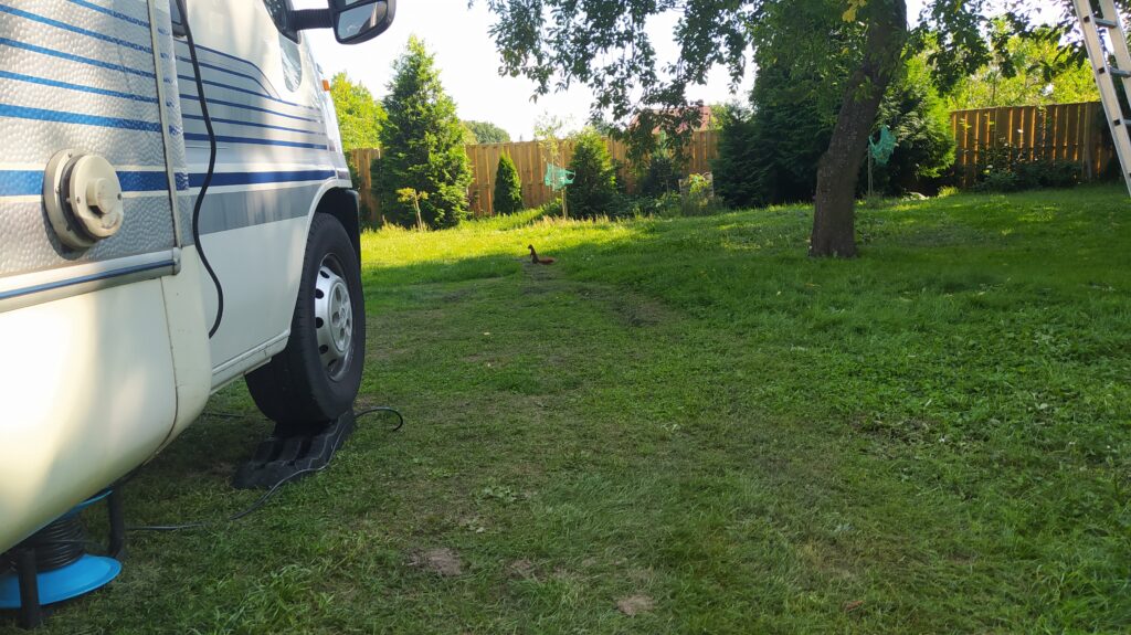 nur ein Eichhörnchen