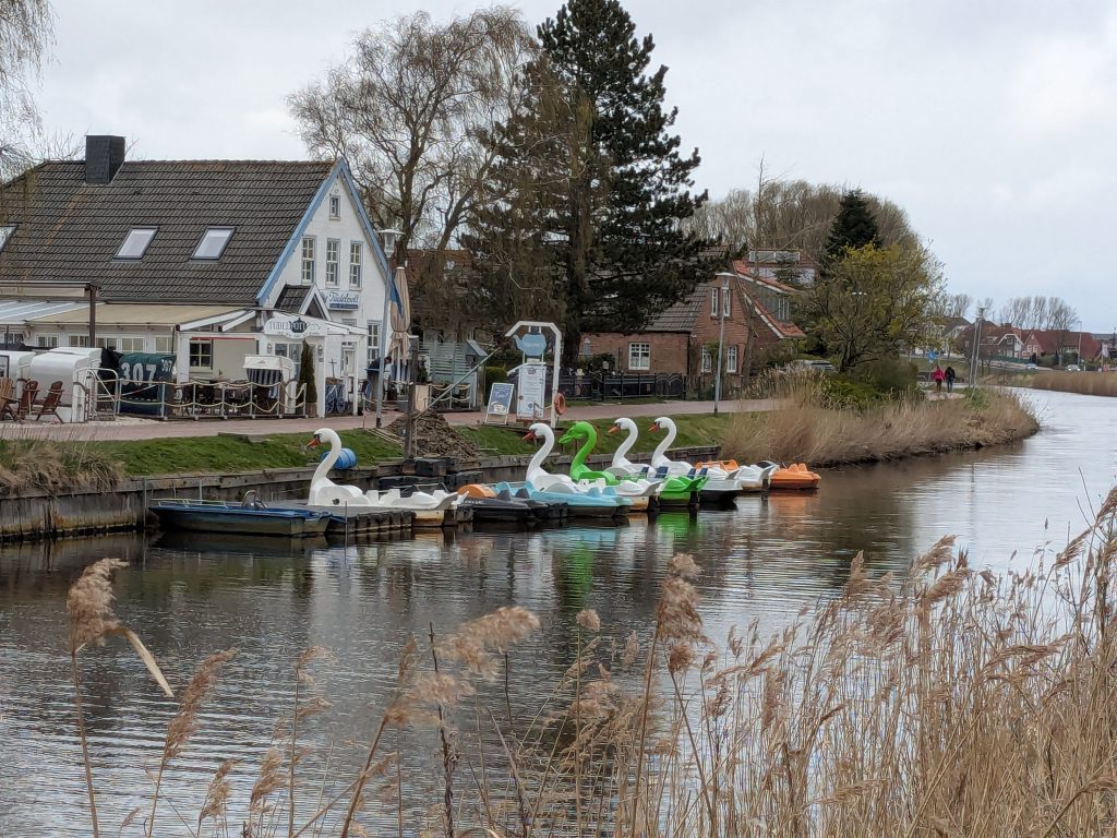Schwanentretboote und ein Drachen-(tret) boot