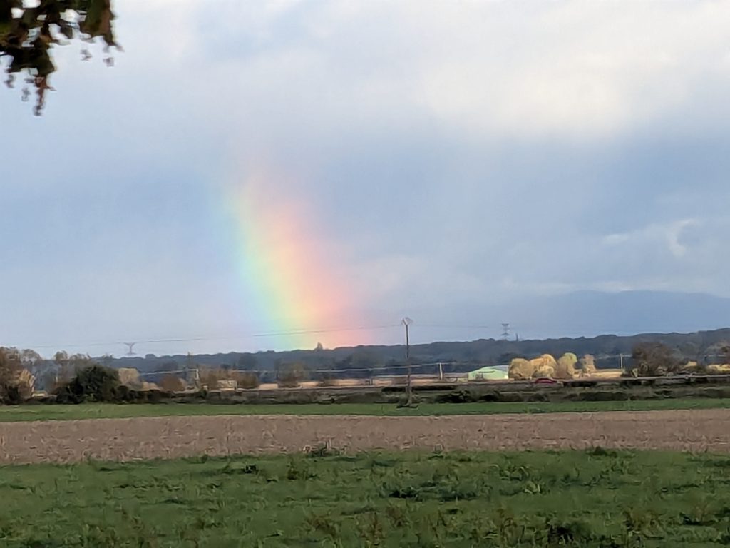 Und einen Regenbogen.