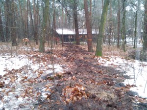 20160110_101310