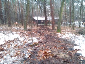 20160110_101315