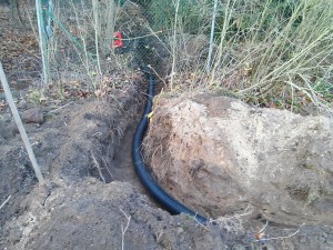 IMG_20151212_114136
