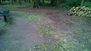 IMG_20160604_202325329